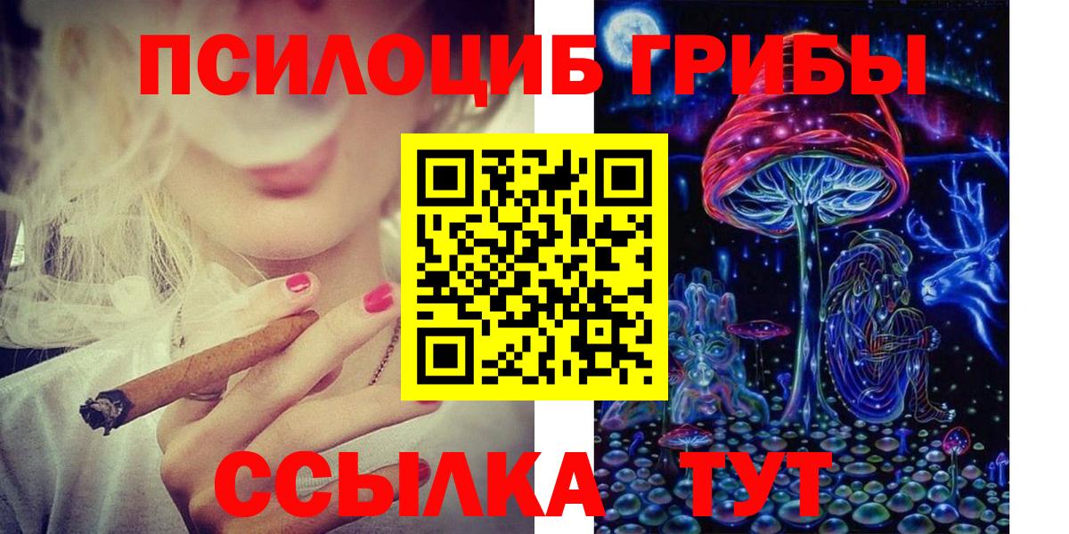Псилоцибиновые грибы Psilocybe Пугачёв