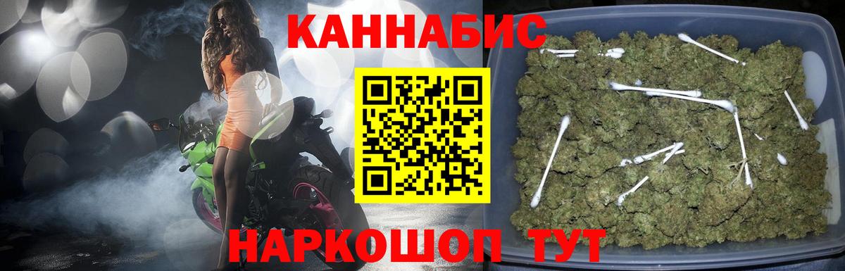 Конопля Amnesia Пугачёв
